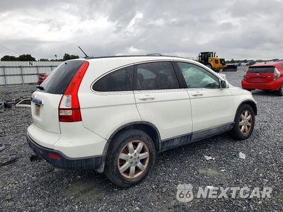 Trzecie zdjęcie samochodu z tyłu: 2009 HONDA CR-V EXL VIN:5J6RE38779L008615 - miniatura