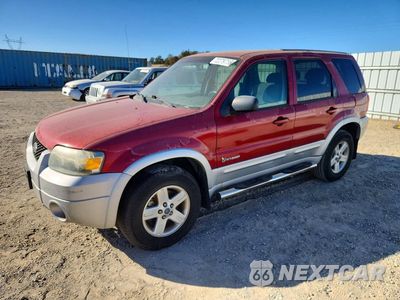 2006 FORD ESCAPE HEV 1FMCU95H86KA08487 - główne zdjęcie licytacji z USA - miniatura