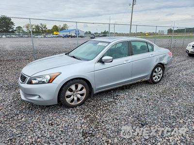 2009 HONDA ACCORD EXL 1HGCP368X9A049755 - główne zdjęcie licytacji z USA - miniatura