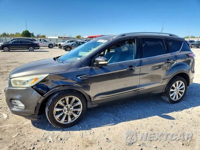 2017 FORD ESCAPE TITANIUM 1FMCU9JD5HUD66205 - główne zdjęcie licytacji z USA - miniatura