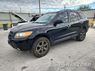2007 HYUNDAI SANTA FE SE 5NMSH13E87H045857 - główne zdjęcie licytacji z USA - miniatura