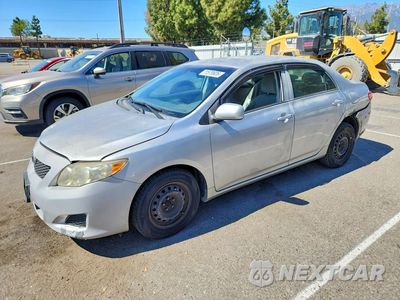 2010 TOYOTA COROLLA LE 1NXBU4EE5AZ253703 - główne zdjęcie licytacji z USA - miniatura