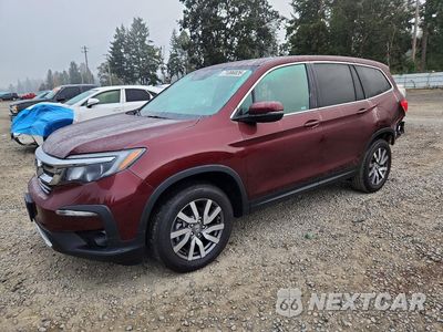 2021 HONDA PILOT EXL 5FNYF6H50MB098457 - główne zdjęcie licytacji z USA - miniatura
