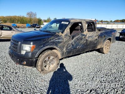 2014 FORD F150 SUPERCREW 1FTFW1EF0EFB89149 - główne zdjęcie licytacji z USA - miniatura