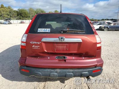 Zdjęcie 6 z 12 samochodu: 2007 HONDA CR-V EXL VIN:JHLRE38737C049720 - miniatura