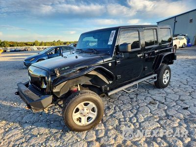 2013 JEEP WRANGLER UNLIMITED SAHARA 1C4BJWEG8DL666266 - główne zdjęcie licytacji z USA - miniatura
