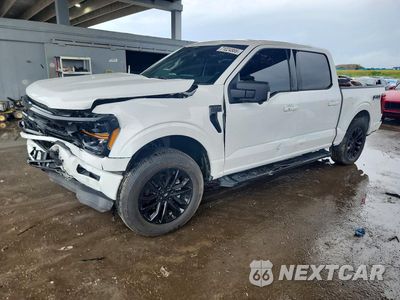 2024 FORD F150 XLT 1FTEW3LP1RFB50062 - główne zdjęcie licytacji z USA - miniatura