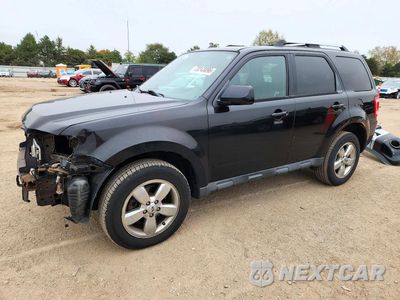 2011 FORD ESCAPE LIMITED 1FMCU0E70BKA80412 - główne zdjęcie licytacji z USA - miniatura