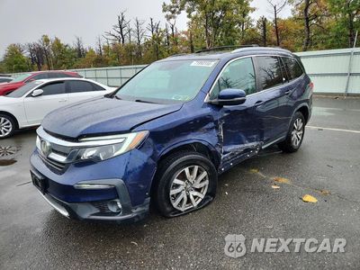 2019 HONDA PILOT EXL 5FNYF6H53KB034653 - główne zdjęcie licytacji z USA - miniatura