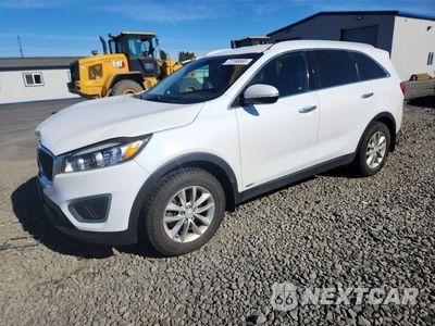 2016 KIA SORENTO LX 5XYPGDA39GG164734 - główne zdjęcie licytacji z USA - miniatura