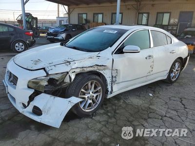 2009 NISSAN MAXIMA 3.5 S 1N4AA51E19C816905 - główne zdjęcie licytacji z USA - miniatura