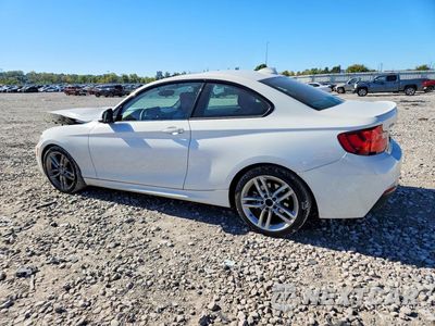 Drugie zdjęcie samochodu z przodu: 2017 BMW 230XI VIN:WBA2H9C34H7A25868 - miniatura