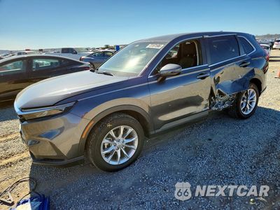 2024 HONDA CR-V EX 2HKRS4H44RH410123 - główne zdjęcie licytacji z USA - miniatura