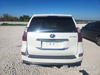 Zdjęcie 6 z 13 samochodu: 2021 LEXUS GX 460 PREMIUM VIN:JTJAM7BX4M5302523 - miniatura