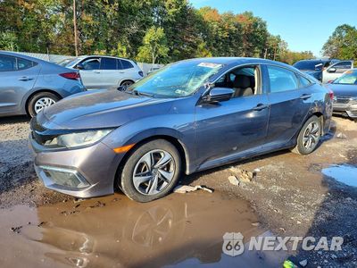 2020 HONDA CIVIC LX 2HGFC2F67LH537345 - główne zdjęcie licytacji z USA - miniatura