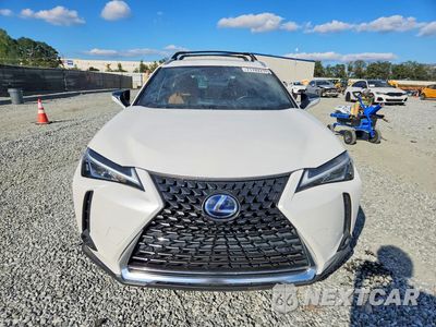 Piąte zdjęcie samochodu w środku: 2019 LEXUS UX 250H VIN:JTHU9JBH8K2010796 - miniatura