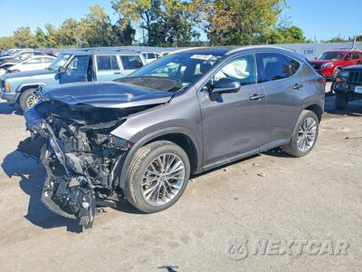 2022 LEXUS NX 350H 2T2HKCEZ2NC006509 - główne zdjęcie licytacji z USA - miniatura