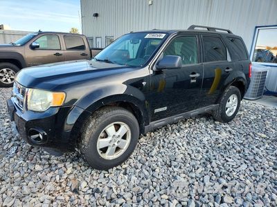 2008 FORD ESCAPE XLT 1FMCU03188KD22760 - główne zdjęcie licytacji z USA - miniatura