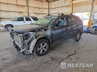 2019 TOYOTA RAV4 XLE JTMP1RFVXKD019637 - główne zdjęcie licytacji z USA - miniatura