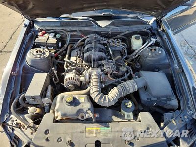 Zdjęcie 11 z 13 samochodu: 2007 FORD MUSTANG VIN:1ZVFT80N875207600 - miniatura