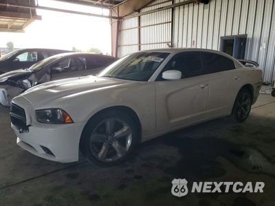 2013 DODGE CHARGER POLICE 2C3CDXAT0DH610442 - główne zdjęcie licytacji z USA - miniatura