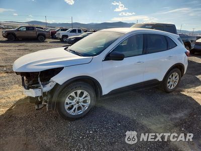 2024 FORD ESCAPE ACTIVE 1FMCU9GN6RUA32072 - główne zdjęcie licytacji z USA - miniatura