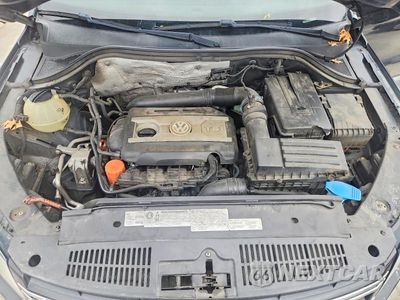 Zdjęcie 12 z 13 samochodu: 2012 VOLKSWAGEN TIGUAN S VIN:WVGAV7AX1CW524877 - miniatura