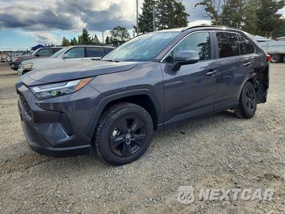 2024 TOYOTA RAV4 XLE 2T3P1RFV7RW473552 - główne zdjęcie licytacji z USA - miniatura