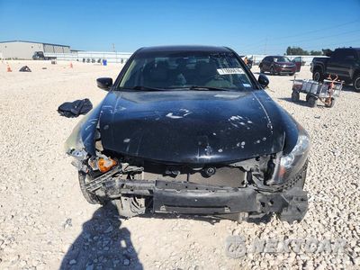 Piąte zdjęcie samochodu w środku: 2010 HONDA ACCORD EXL VIN:1HGCP2F81AA058052 - miniatura