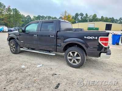 Drugie zdjęcie samochodu z przodu: 2013 FORD F150 SUPERCREW VIN:1FTFW1ET6DFD89151 - miniatura