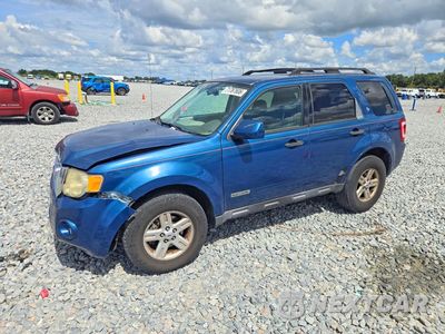 2008 FORD ESCAPE HEV 1FMCU49H38KB53386 - główne zdjęcie licytacji z USA - miniatura