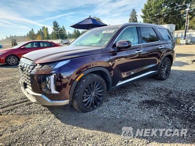 2025 HYUNDAI PALISADE LIMITED KM8R5DGE5SU817277 - główne zdjęcie licytacji z USA - miniatura