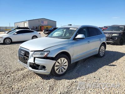 2013 AUDI Q5 PREMIUM HYBRID WA1C8AFPXDA027359 - główne zdjęcie licytacji z USA - miniatura