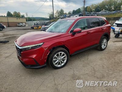 2024 HONDA CR-V EX 7FARS4H43RE009780 - główne zdjęcie licytacji z USA - miniatura