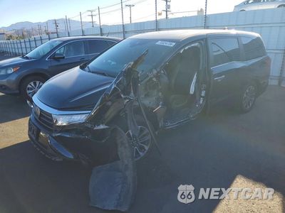 2024 HONDA ODYSSEY EXL 5FNRL6H60RB066489 - główne zdjęcie licytacji z USA - miniatura
