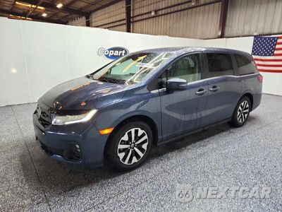 2025 HONDA ODYSSEY EXL 5FNRL6H61SB080536 - główne zdjęcie licytacji z USA - miniatura