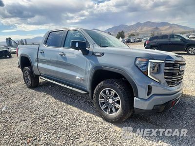Czwarte zdjęcie samochodu z boku: 2024 GMC SIERRA K1500 AT4 VIN:3GTUUEE89RG204869 - miniatura