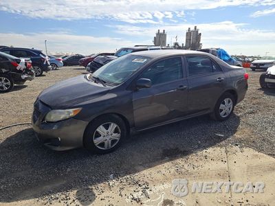 2009 TOYOTA COROLLA LE 1NXBU40E29Z128001 - główne zdjęcie licytacji z USA - miniatura