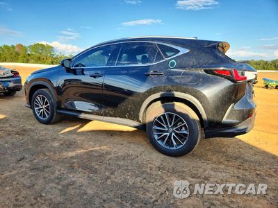Drugie zdjęcie samochodu z przodu: 2025 LEXUS NX 250 BASE VIN:2T2ADCAZ2SC022044 - miniatura