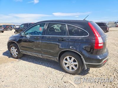 Drugie zdjęcie samochodu z przodu: 2007 HONDA CR-V EXL VIN:JHLRE487X7C086740 - miniatura