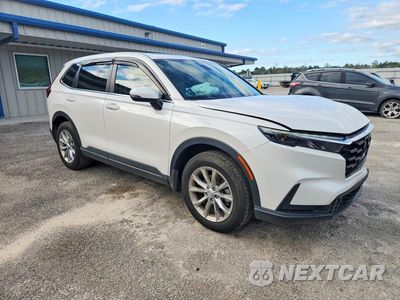Czwarte zdjęcie samochodu z boku: 2025 HONDA CR-V EXL VIN:2HKRS4H73SH483404 - miniatura