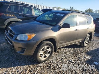 2011 TOYOTA RAV4 BASE 2T3BF4DV7BW126410 - główne zdjęcie licytacji z USA - miniatura