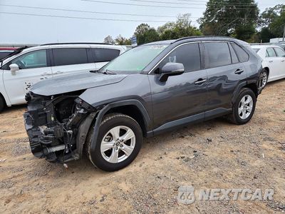 2019 TOYOTA RAV4 XLE JTMP1RFV5KD036801 - główne zdjęcie licytacji z USA - miniatura