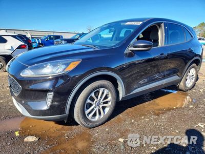 2020 FORD ESCAPE SE 1FMCU9G61LUC37394 - główne zdjęcie licytacji z USA - miniatura