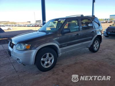 2006 FORD ESCAPE 1FMYU96H66KB21844 - główne zdjęcie licytacji z USA - miniatura