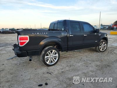 Trzecie zdjęcie samochodu z tyłu: 2013 FORD F150 SUPERCREW VIN:1FTFW1ET5DFA15288 - miniatura