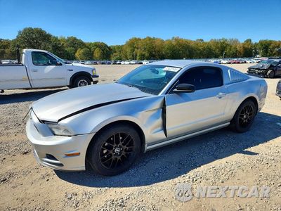 2014 FORD MUSTANG 1ZVBP8AM9E5254169 - główne zdjęcie licytacji z USA - miniatura