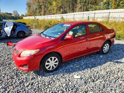 2010 TOYOTA COROLLA LE 2T1BU4EE5AC528777 - główne zdjęcie licytacji z USA - miniatura