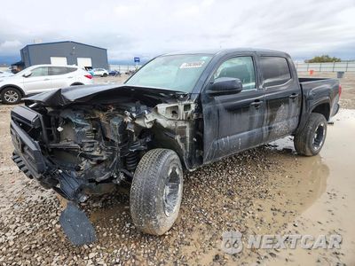 2021 TOYOTA TACOMA SR V6 3TMCZ5AN8MM407755 - główne zdjęcie licytacji z USA - miniatura
