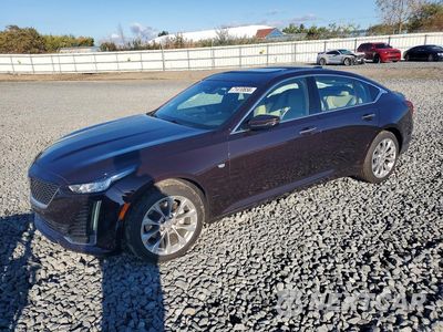 2020 CADILLAC CT5 PREMIUM LUXURY 1G6DT5RKXL0122592 - główne zdjęcie licytacji z USA - miniatura